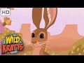 Wild Kratts Kratts Find A Jack Rabbit Creatures