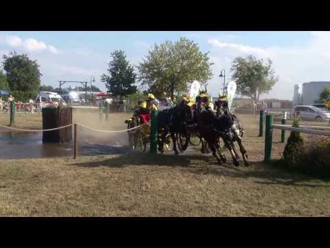 Turbo-Gerhard-Gerich 2013 in Bösdorf