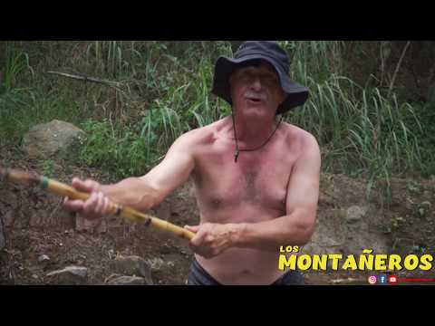 EL PASEO DE OLLA 2 - LOS MONTAÑEROS