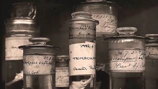 The Cranberries - Sunday (Acoustic)