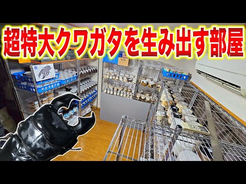 ラボで生活を創造する