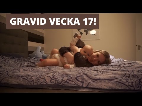 GRAVID VECKA 17