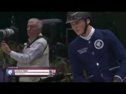 Der Ausnahmehengst Don Diarado Hengststation Rene Tebbel