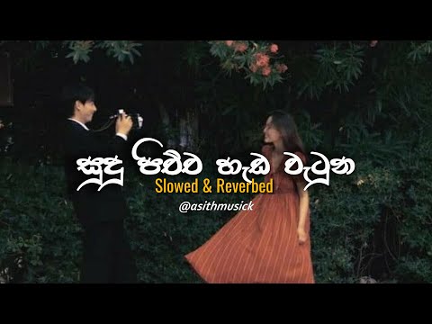 සුදු පිච්ච හැඩ වැටුන | Sudu Pichcha Hada Watuna | Slowed and Reverb