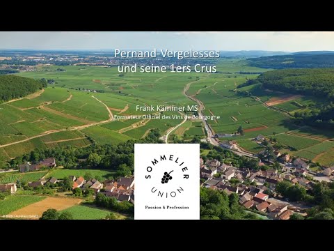 Burgund - Frank Kämmer MS beleuchtet Pernand-Vergelesses und 1ers Crus