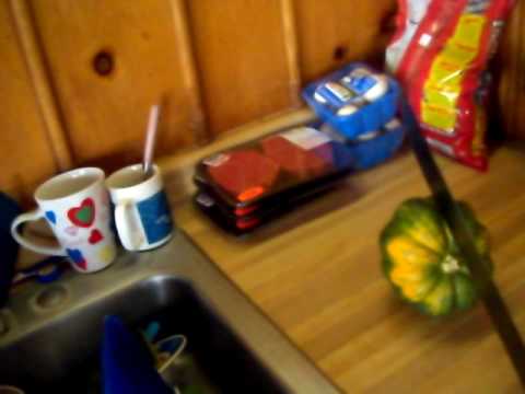 SAFETY FIRST USING A MACHETE | Jason Asselin