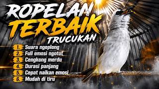 Download lagu TRUCUKAN GACOR FULL ROPEL PANJANG || pancingan, masteran terbaik untuk trucuk dan burung lainya mp3