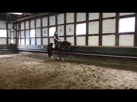 Scuderia/Londonderry 3 Jahre