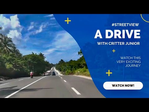 Random Street View in the Town of Dauin | A Drive with Critter Junior 🚘