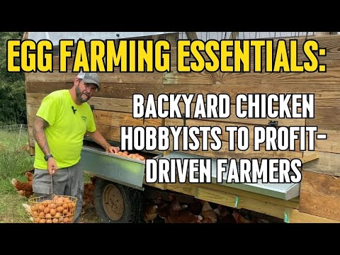 Egg Farming Essentials (Backyard Chicken Hobbyists To Profit-Driven Farmers)