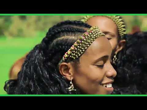 ▶️ New Ethiopian Oromo Music   Umar Mohammed Wollo Oromo Official VideoAHS
