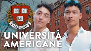 Come entrare gratis ad HARVARD e nelle altre UNIVERSITÀ top in America 🇺🇸