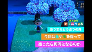 あつまれどうぶつの森をやってみたよ！！「あつ森実況第一弾」