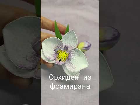 Брошь орхидея из фоамирана. Цветы из фома своими руками.