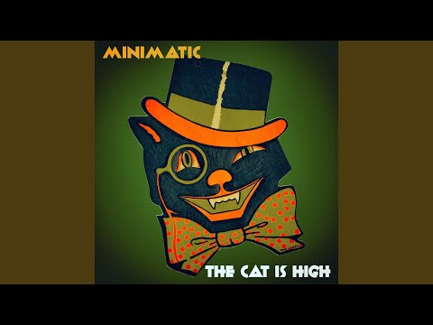 The Cat Is High