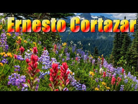 ERNESTO CORTAZAR -  Romantic Piano Love Songs - The Best Selection   ♫