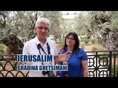 ✈️ Grădina #Ghetsimani - Mărturie din călătoria în Israel - Dionisie & Debora Hada | Oxentia Tourism