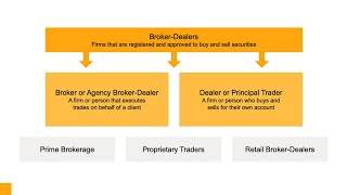 The Players: Broker-Dealers and Investors