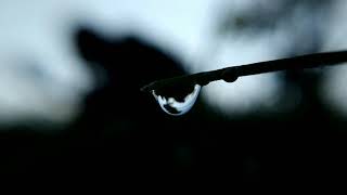 Download lagu Ngaji Filsafat 1 menit | Dr. Fahrudin Faiz | membersihkan jiwa (Imam Al-Ghazali) mp3 Download lagu Ngaji Filsafat 1 menit | Dr. Fahrudin Faiz | membersihkan jiwa (Imam Al-Ghazali) mp3