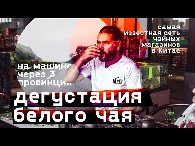 Сеть чайных магазинов в Китае. Дегустация белого чая. На машине через 3 провинции