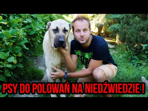 CIEKAWOSTKI O HODOWLI KANGALA W DOMU