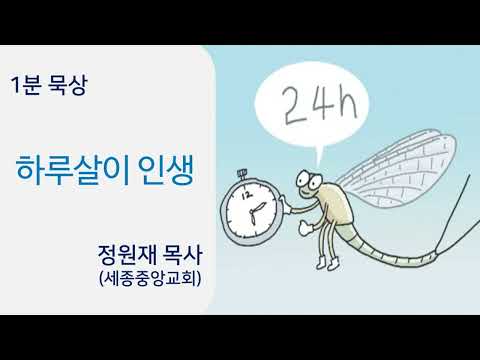YouTube 영상 썸네일