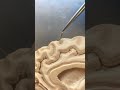 Real Human Brain Gray & White Matter