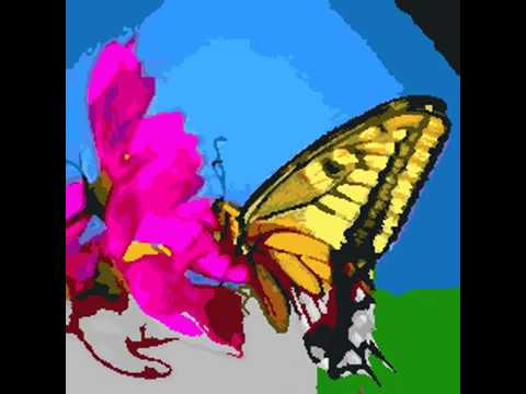 Color by Number - plant