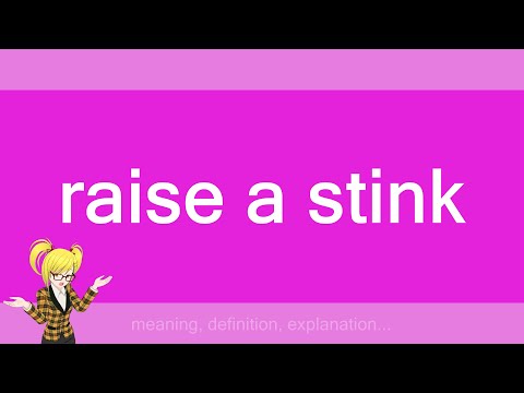 raise a stink