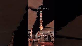 Download lagu story wa 30 detik/status wa sholawat 2022 _lagu sholawat ya ali yabna abi thalib mp3 Download lagu story wa 30 detik/status wa sholawat 2022 _lagu sholawat ya ali yabna abi thalib mp3