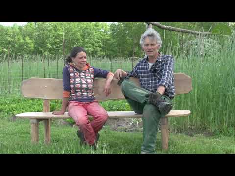 Interview Lemgrabe | Market Gaden | Solidarische Landwirtschaft | 2020