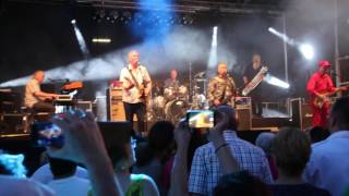 Spider Murphy Gang-Wo bist Du-Offenbach-27.05.17