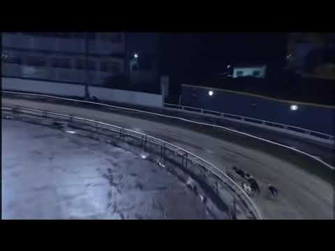 BGBF British Bred Derby Heat 4 - King Turbo