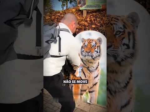 Por Isso NINGUÉM Ganhou do Tigre😂