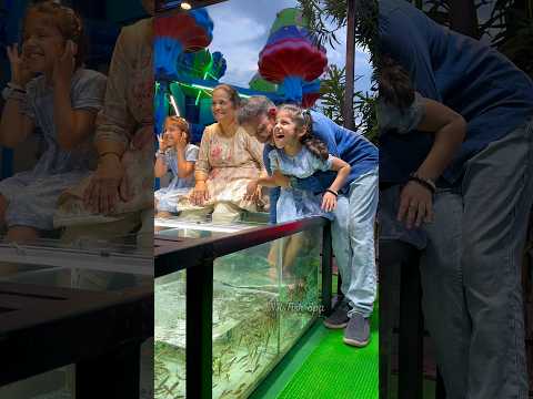 NR Fish Spa🥰 Besant Nagar beach +919952085544 #youtubeshorts #spa #cute #fish #yt #youtube #chennai