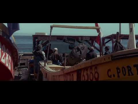 Valparaiso & Vina Del Mar - Chile