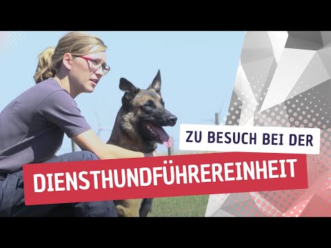 Zu Besuch bei der Diensthundführereinheit (DHFE) der Polizei Sachsen-Anhalt