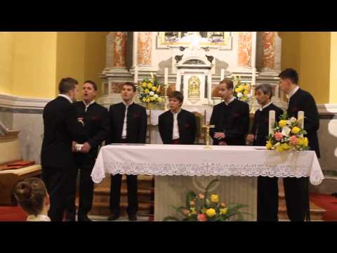 Klapa Arti - Kamposonto