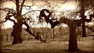 Lorna Zauberberg - (Mike Doughty cover) the Lone Milkman