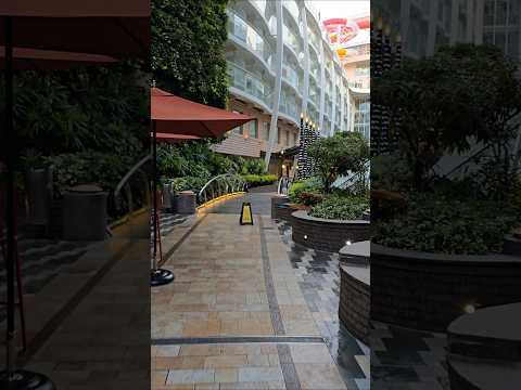 Thumbnail for Oasis of the Seas - Central Park #royalcaribbean #cruiseship #bahamasbeach