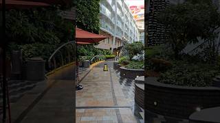 Oasis of the Seas - Central Park #royalcaribbean #cruiseship #bahamasbeach