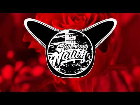 Aro B x R.V.G - Kwiat róży (Prod.Prorok) [BassBoosted]