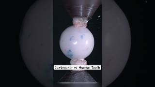 Tooth vs Jawbreaker Candy: A Crushing Test! #toothtest #jawbreaker #pressuretest #breaktest #candy