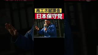 日本保守党、再エネ賦課金、百田尚樹、