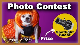 Win the Spotlight Snoot Kit! | October Photography Contest