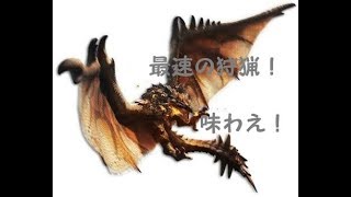 ぱぱっと狩ってくモンハンXR（リオレウス編）