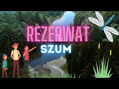 Górecko Kościelne Tama - Atrakcje  Na Roztoczu - Rezerwat Szum