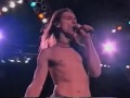 Iggy Pop - Cold Metal (Live Phoenix 1994) - 12.