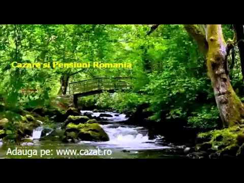 Cazare Boinesti, Satu Mare - Cazat.ro