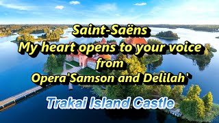 Download lagu サン=サーンス『サムソンとデリラ』より「あなたの声に私の心も開く」Saint-Saëns:My heart opens to your voice Opera'Samson and Delilah' mp3 Download lagu サン=サーンス『サムソンとデリラ』より「あなたの声に私の心も開く」Saint-Saëns:My heart opens to your voice Opera'Samson and Delilah' mp3